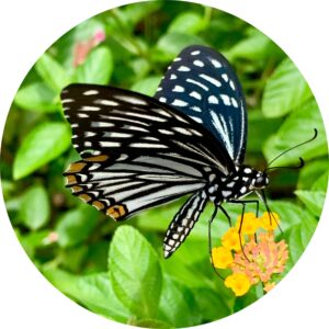 circle-cropped (2)